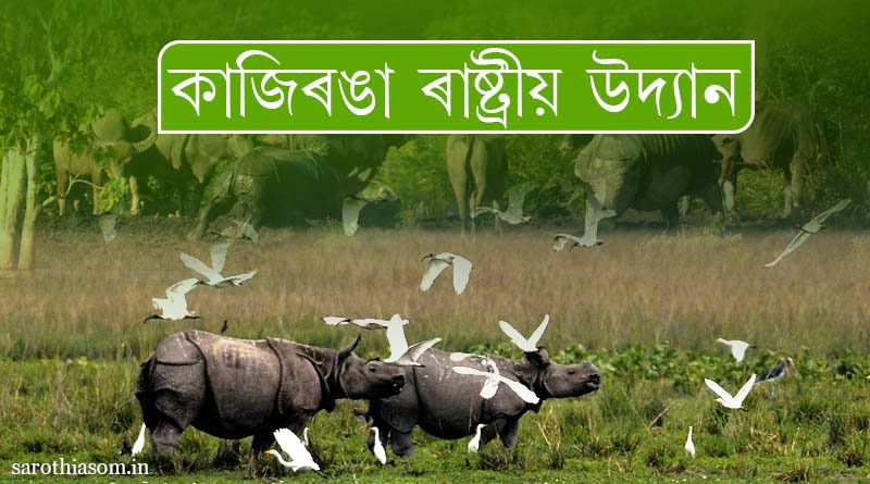 kaziranga-national-park